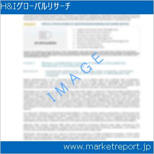 市場と産業調査レポートのイメージ
